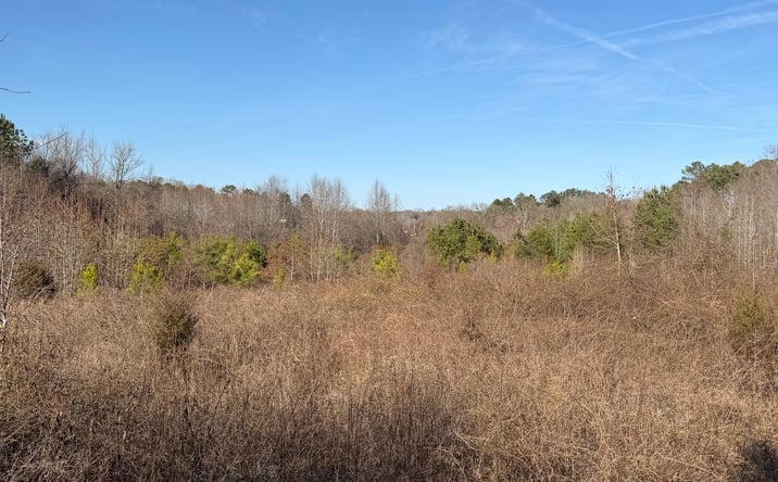 Pictures of Land property located at 3600 Chesnee Hwy, Chesnee, SC 29323-8440 for sales - image #1