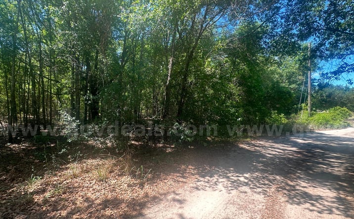 Pictures of Land property located at NW 12th St, Ocala, FL 34482 for sales - image #1