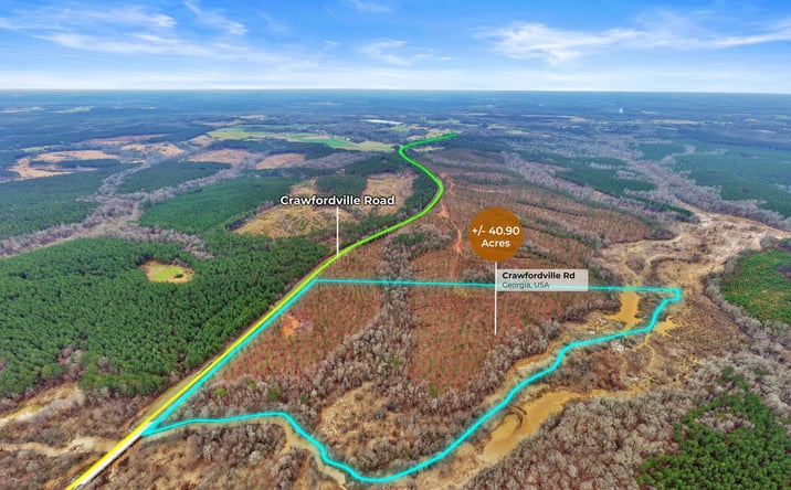 Pictures of Land property located at GA-22, Lexington, GA 30648 for sales - image #1