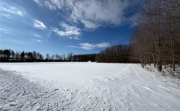Pictures of Land property located at Carpenter Road Evans, Angola, NY 14006 for sales - image #1