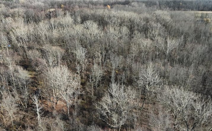 Pictures of Land property located at 0 Lynch Road, Holley, NY 14470 for sales - image #1