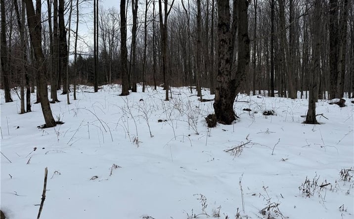 Pictures of Land property located at 16 Deer Pond, Warsaw, NY 14569 for sales - image #1