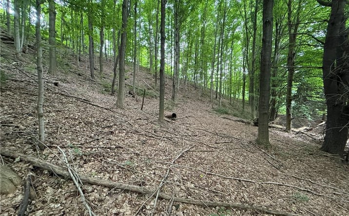 Pictures of Land property located at 0 Hornell Reservoir Road Fremont, Hornell, NY 14843 for sales - image #1