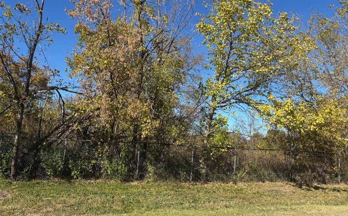 Pictures of Land property located at 13.8 Acres / Tract 6 Winn Road, Southmayd, TX 76268 for sales - image #1