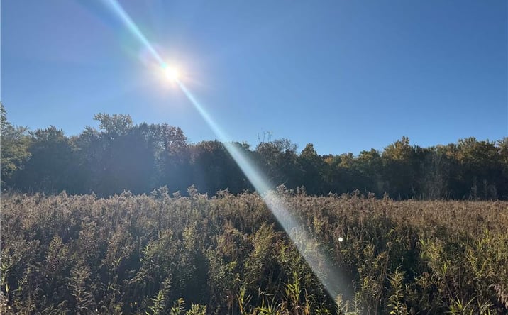 Pictures of Land property located at 150 Coates Rd, Scottsville, NY 14546 for sales - image #1