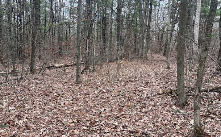 Pictures of Land property located at Address Not Available, Lindley, NY 14858 for sales - image #1