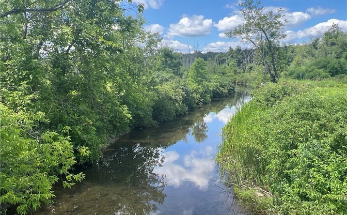 Pictures of Land property located at 0 Myers Road Bradford, Savona, NY 14879 for sales - image #1
