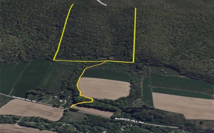 Pictures of Land property located at Bunker Hill Rd, Cold Spring, NY 14772 for sales - image #1