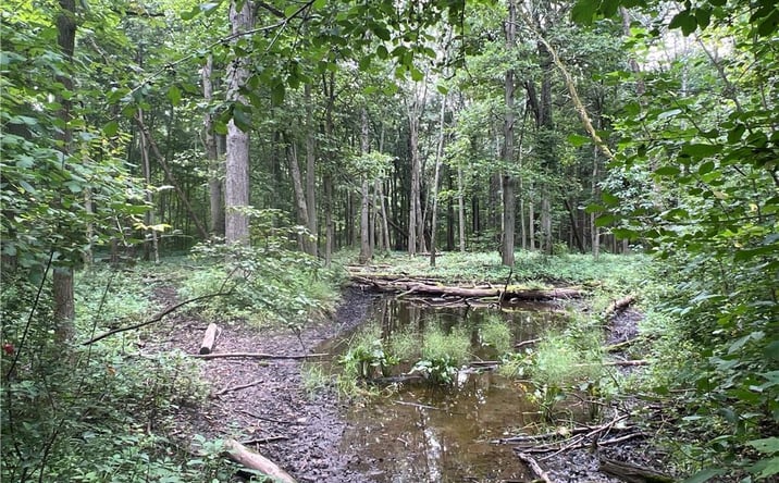 Pictures of Land property located at 2853 Hartland Road, Hartland, NY 14067 for sales - image #1