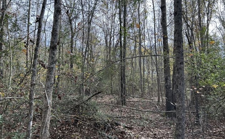 Pictures of Land property located at 1005 Concord Rd, Waskom, TX 75692 for sales - image #1