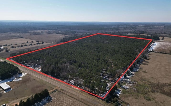 Pictures of Land property located at 000 TBD FM 250, Hughes Springs, TX 75650 for sales - image #1