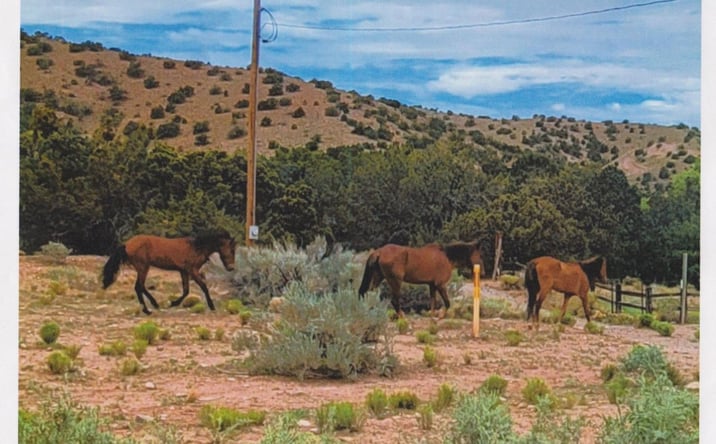 Pictures of Land property located at Deba Jo De Ojo, Placitas, NM 87043 for sales - image #1