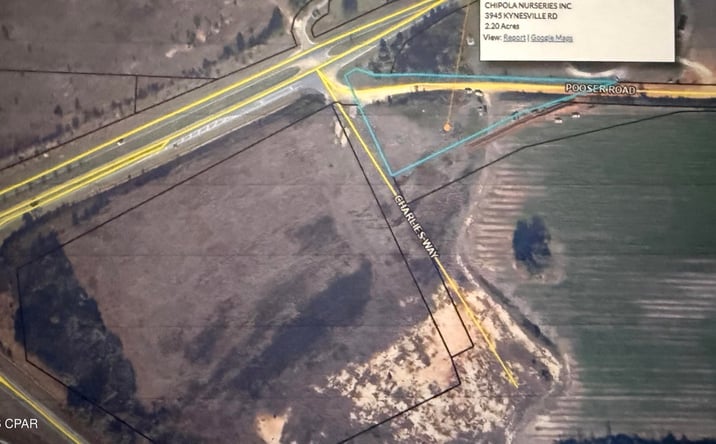 Pictures of Land property located at 3945 Kynesville Road, Marianna, FL 32448 for sales - image #1