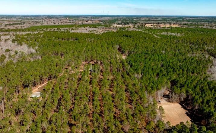 Pictures of Land property located at 1401 Messex Rd, Millen, GA 30442 for sales - image #1