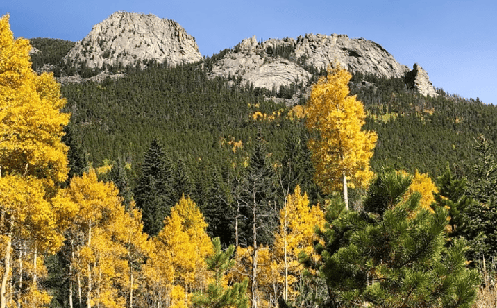 Pictures of Business for Sale, Mobile Home Park, Special Purpose property located at 92 Crawford Gulch Road, Golden, CO 80403 for sales - image #1