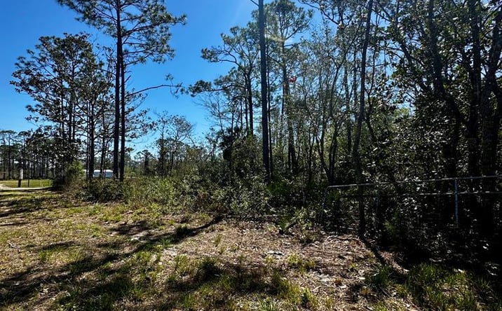 Pictures of Land property located at NW Fifth Ave, Steinhatchee, FL 32359 for sales - image #1