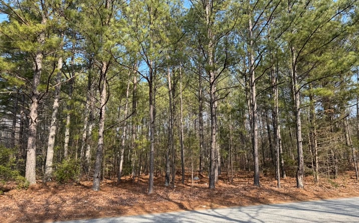 Pictures of Land property located at Carnes Dr, Fayetteville, GA 30214 for sales - image #1