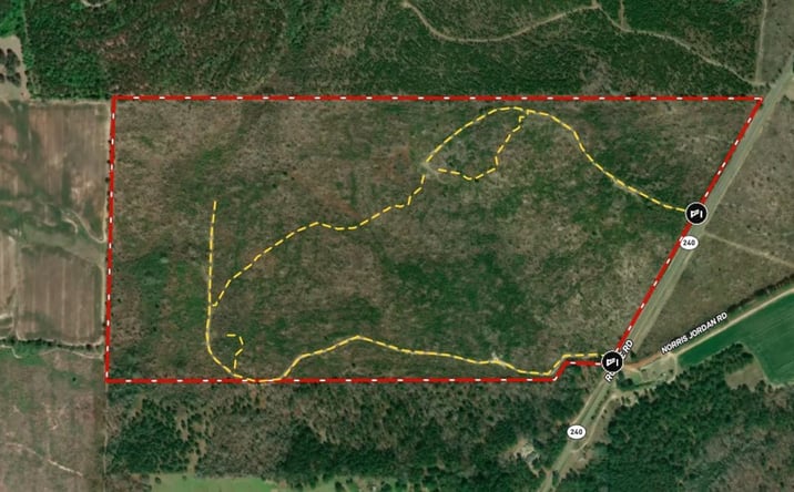Pictures of Land property located at 130.518 ac Ronnie Road, Buena Vista, GA 31803 for sales - image #1