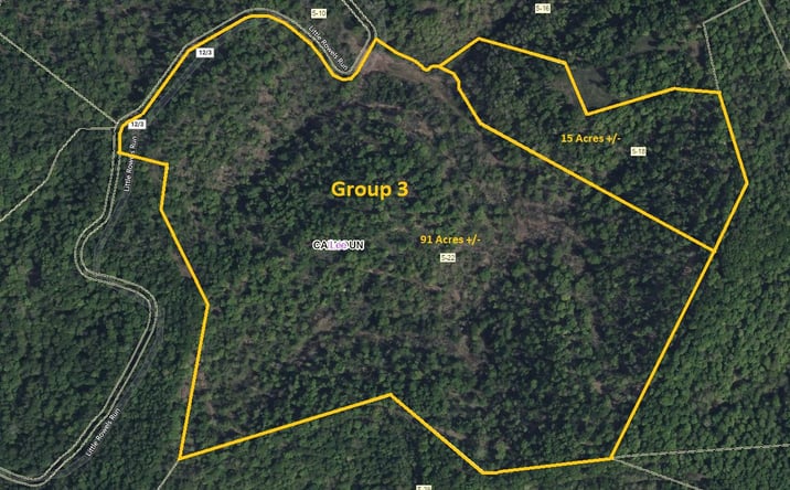 Pictures of Land property located at Parcel 22, Little Rowels Run Rd, Creston, WV 26141 for sales - image #1