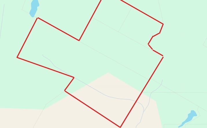 Pictures of Land property located at Co Rd 2235, Grapeland, TX 75844 for sales - image #1