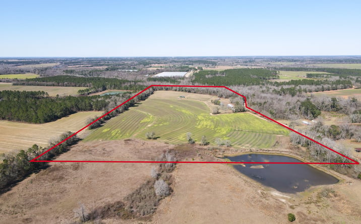 Pictures of Land property located at 1685 Union Hill Rd, Pelham, GA 31779 for sales - image #1