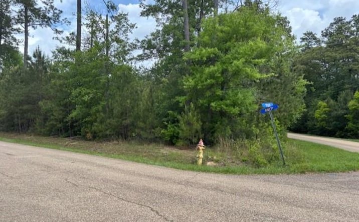 Pictures of Land property located at N 12th St, Covington, LA 70433 for sales - image #1