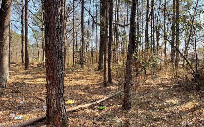 Pictures of Land property located at US-29, Lilburn, GA 30047 for sales - image #1