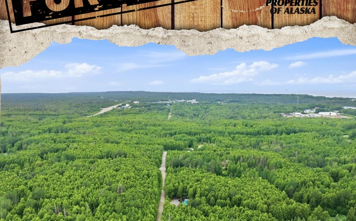 Pictures of Land property located at L15 B3 Martille Ave, Niksiki, AK 99611 for sales - image #1