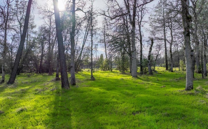 Pictures of Land property located at Soleado Lane, Redding, CA 96001 for sales - image #1