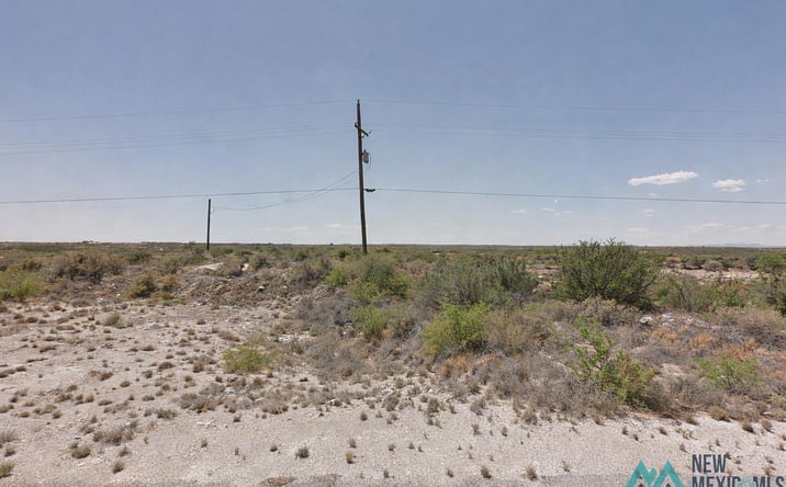 Pictures of Land property located at 699 E Derrick Road, Carlsbad, NM 88220 for sales - image #1