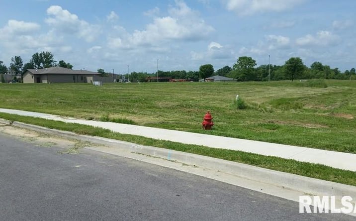 Pictures of Land property located at Lot 8 FINANCIAL, Carbondale, IL 62901 for sales - image #1