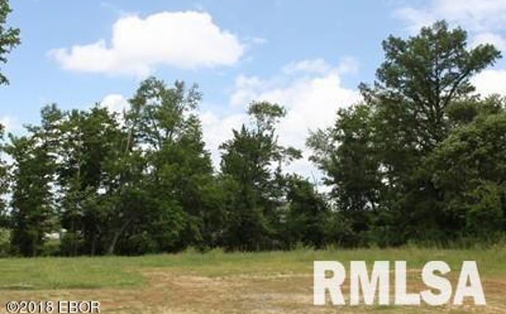 Pictures of Land property located at 1414 E WALNUT Street, Carbondale, IL 62902 for sales - image #1