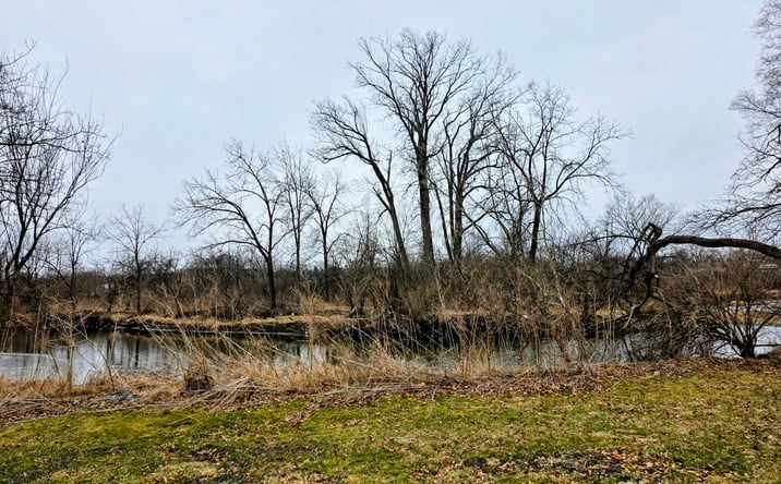 Pictures of Land property located at Lot 207 N Cedar Road, New Lenox, IL 60451 for sales - image #1