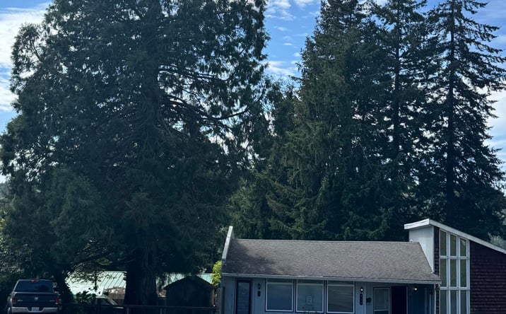 Pictures of Mixed Use property located at 173 NE Hwy 20, Toledo, OR 97391 for sales - image #1