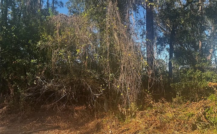 Pictures of Land property located at 11-20 Anno St, Tampa, FL 33625 for sales - image #1