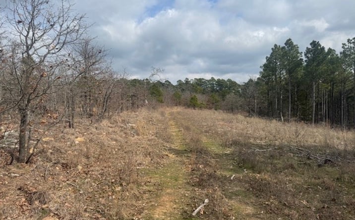Pictures of Land property located at E 1732 Road, Clayton, OK 74536 for sales - image #1
