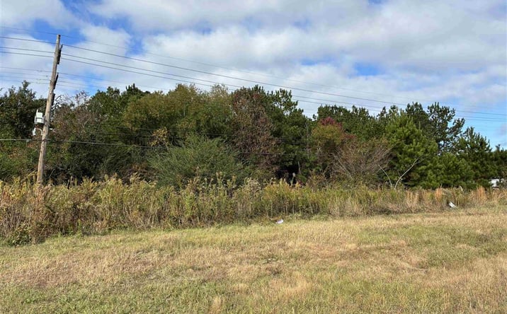 Pictures of Land property located at TBD Lake Charles Hwy, Leesville, LA 71446 for sales - image #1