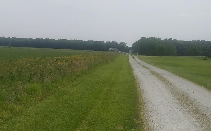 Pictures of Land property located at 17022 Mount St Holtz Road, Lowell, IN 46356 for sales - image #1