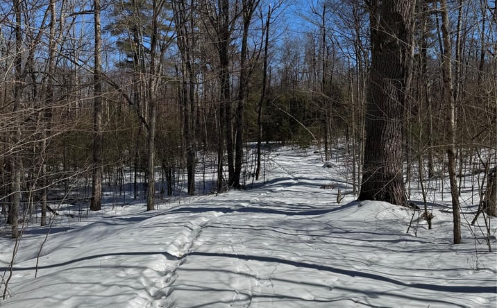 Pictures of Land, Multifamily property located at Lot 32 Woodstone Trail, Bethel, NY 12720 for sales - image #1