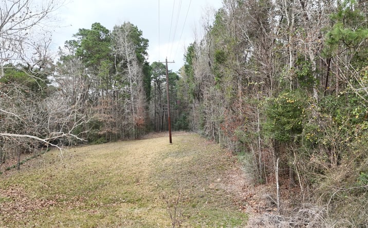 Pictures of Land property located at TBD Baxter, LIVINGSTON, TX 77351 for sales - image #1