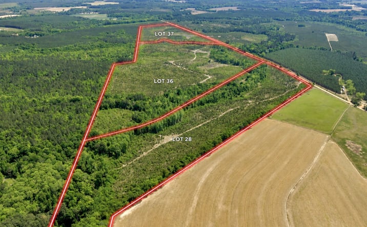 Pictures of Land property located at 1 Graham Rd, Cadwell, GA 31009 for sales - image #1