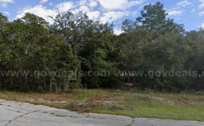 Pictures of Land property located at 1203 Vernon Lane, Poinciana, FL 34759 for sales - image #1