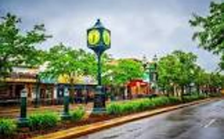 Pictures of Business for Sale property located at S Main St, Plymouth, MI 48170 for sales - image #1