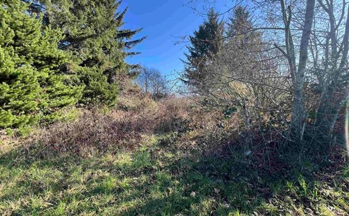 Pictures of Industrial, Land property located at 637 Elk Valley Rd, Crescent City, CA 95531 for sales - image #1