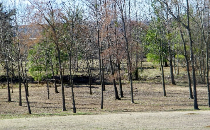 Pictures of Land property located at 4 E Washington Street, Idabel, OK 74745 for sales - image #1