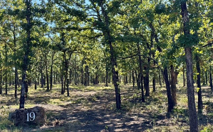 Pictures of Land property located at 19 260th Street, Beggs, OK 74421 for sales - image #1