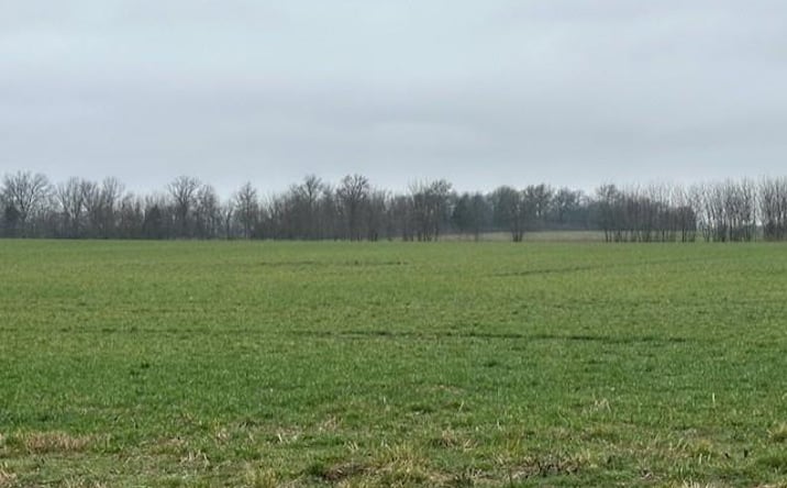 Pictures of Land, Special Purpose property located at S 800 Road, Moundville, MO 64771 for sales - image #1