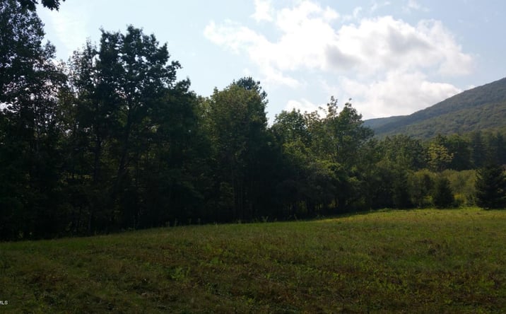 Pictures of Land property located at Reservoir Rd, North Adams, MA 01247 for sales - image #1