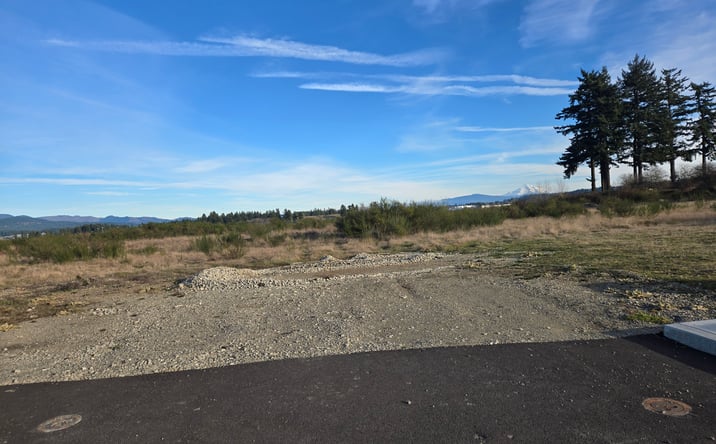 Pictures of Industrial, Land property located at 805 NE 172nd Ave, Vancouver, WA 98684, 809 NE 172nd Ave, Vancouver, WA 98684 for sales - image #1