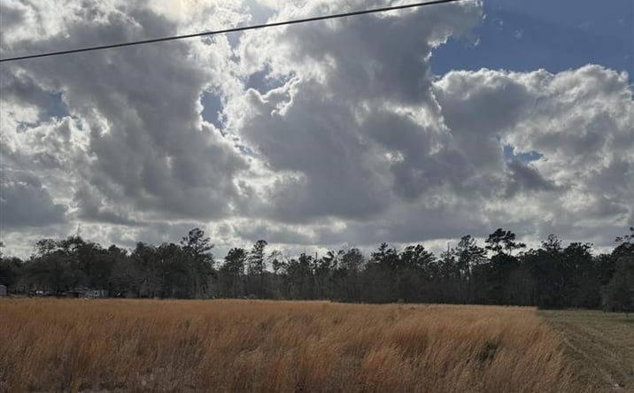 Pictures of Land property located at Choupique Road, Sulphur, LA 70665 for sales - image #1